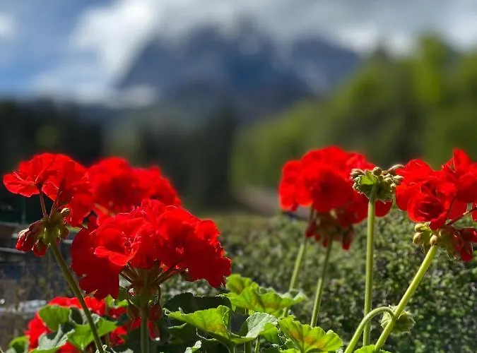 Tirolia Horská chata *